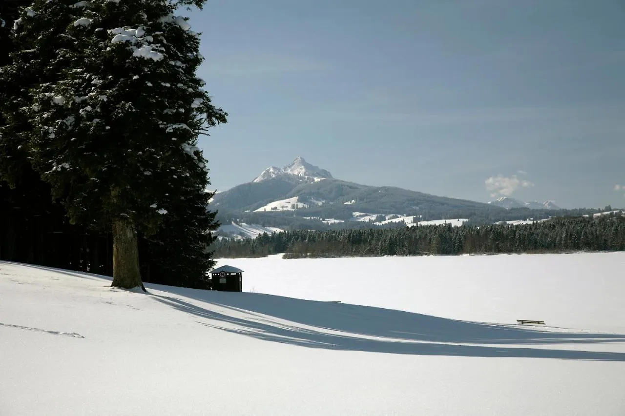 Appartamento Urheim Rose Oy-Mittelberg Germania
