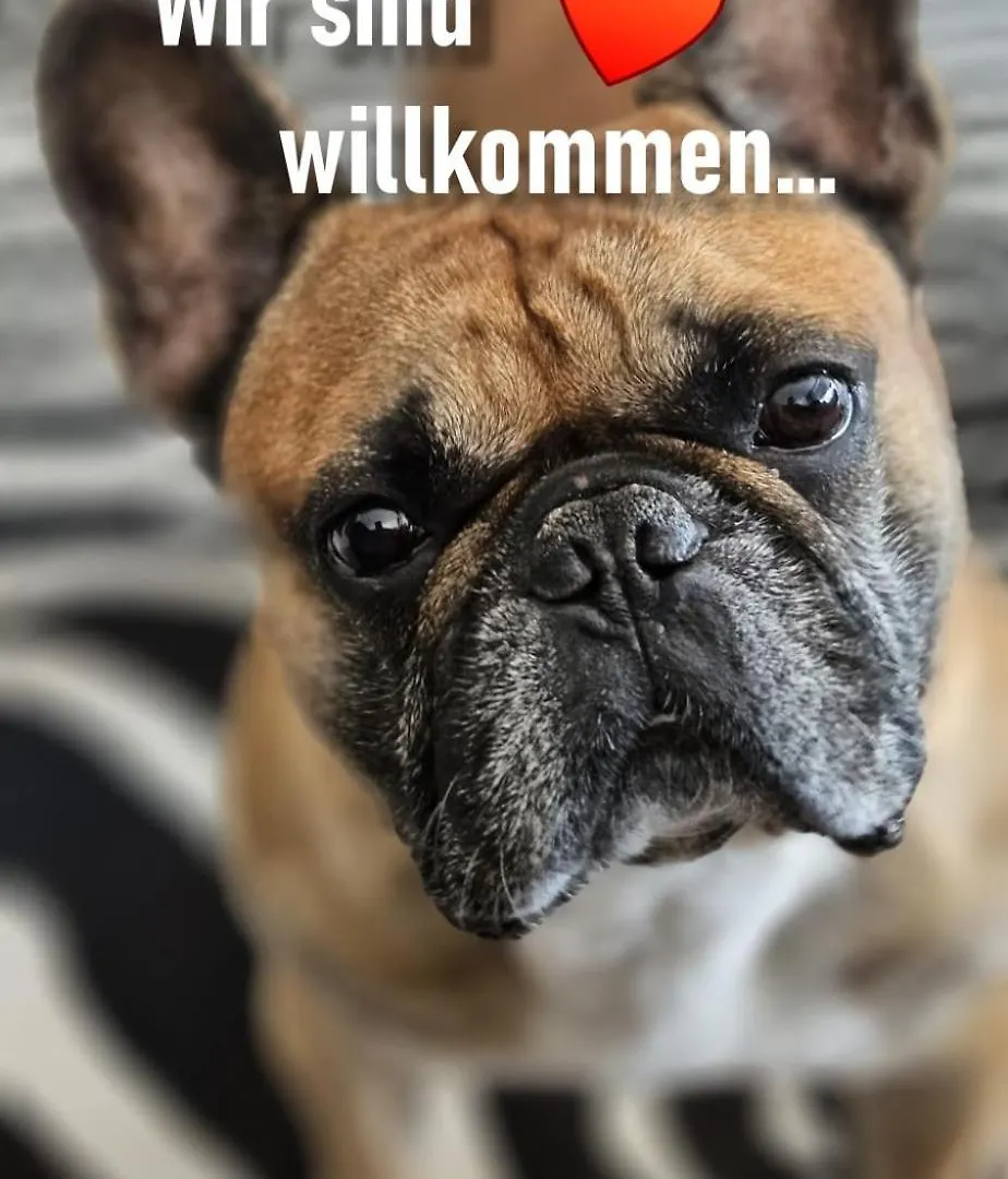 Appartamento Urheim Rose Oy-Mittelberg